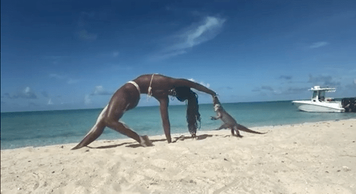 7d9ab25506173b80da241f8436bba08e_1629855221_8094.gif