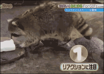2fc13739a7d60a48096dd234ed45eb34_1692110867_1832.gif