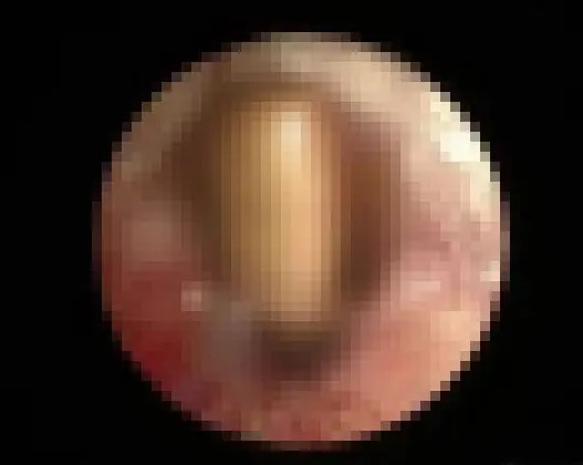 9d5b05699eaa2c4e23c219456c21a905_1744032609_5625.jpeg
